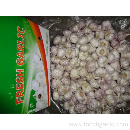 New Season 2019 Normal White Garlic